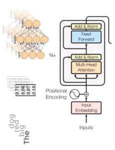 Transformer neural network